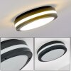 Wollongong Lámpara de techo para exterior LED Antracita, 1 luz