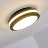 Wollongong Lámpara de techo para exterior LED Antracita, 1 luz
