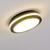 Wollongong Lámpara de techo para exterior LED Antracita, 1 luz