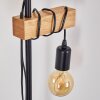 Barbengo Lámpara de Pie Marrón, Negro, 2 luces