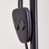 Barbengo Lámpara de Pie Marrón, Negro, 2 luces