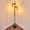Barbengo Lámpara de Pie Marrón, Negro, 2 luces