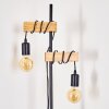 Barbengo Lámpara de Pie Marrón, Negro, 2 luces