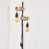 Barbengo Lámpara de Pie Marrón, Negro, 2 luces