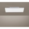 Paul Neuhaus FRAMELESS Lámpara de Techo LED Blanca, 1 luz, Mando a distancia