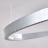 Canisteo Lámpara Colgante LED Plata, 1 luz