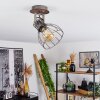 Bitterroot Lámpara de Techo Marrón, Madera oscura, 1 luz