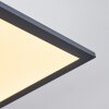 Salmi Lámpara de Techo LED Negro, Blanca, 1 luz