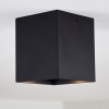 Awuna Lámpara de Techo Negro, 1 luz