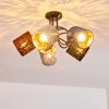 Liared Lámpara de Techo Negro, 5 luces