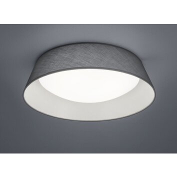 Reality PONTS Lámpara de Techo LED Gris, 1 luz