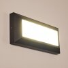 Alkmaar Aplique para exterior LED Antracita, 1 luz