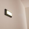 Alkmaar Aplique para exterior LED Antracita, 1 luz