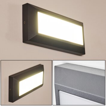 Alkmaar Aplique para exterior LED Antracita, 1 luz