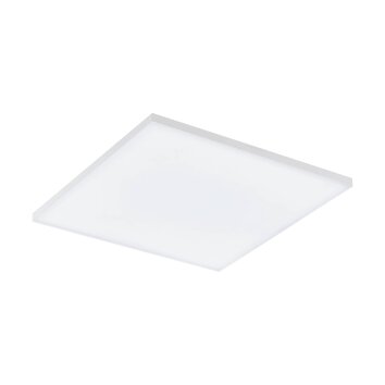 Eglo TURCONA Lámpara de Techo LED Blanca, 1 luz