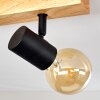 Barbengo Lámpara de Techo Madera clara, Negro, 2 luces