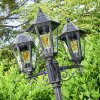 Lignac Candelabro Negro, 3 luces