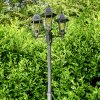 Lignac Candelabro Negro, 3 luces