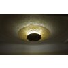Paul Neuhaus NEVIS Lámpara de Techo LED Color óxido, 1 luz