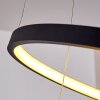 Canisteo Lámpara Colgante LED Negro, 2 luces