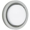 Albert 6410 Lámpara de techo para exterior LED Plata, 1 luz