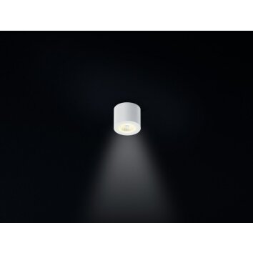 Helestra OSO Lámpara de techo LED Blanca, 1 luz