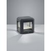 Trio LOGONE Aplique para exterior LED Antracita, 1 luz