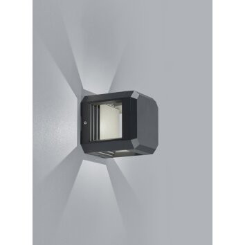 Trio LOGONE Aplique para exterior LED Antracita, 1 luz