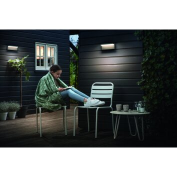 Philips Bustan Aplique para exterior LED Antracita, 2 luces