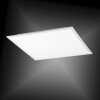 Lámpara de Techo Paul Neuhaus Q-Flag LED Blanca, 1 luz, Mando a distancia