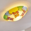 Pizzy Katze Lámpara de Techo Cromo, Blanca, 2 luces