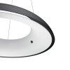 Philips Hue Ambiance White Amaze Lámpara Colgante LED Negro, 1 luz, Mando a distancia
