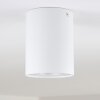 Quimper Lámpara de Techo Blanca, 1 luz