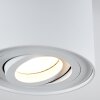 Quimper Lámpara de Techo Blanca, 1 luz