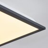 Salmi Lámpara de Techo LED Negro, Blanca, 1 luz