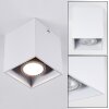 Awuna Lámpara de Techo Blanca, 1 luz