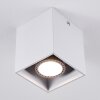 Awuna Lámpara de Techo Blanca, 1 luz