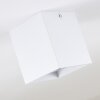 Awuna Lámpara de Techo Blanca, 1 luz