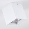 Awuna Lámpara de Techo Blanca, 1 luz
