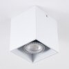 Awuna Lámpara de Techo Blanca, 1 luz