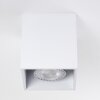 Awuna Lámpara de Techo Blanca, 1 luz