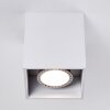 Awuna Lámpara de Techo Blanca, 1 luz