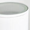 Brachy Aplique para exterior LED Blanca, 2 luces