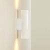 Brachy Aplique para exterior LED Blanca, 2 luces