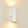 Brachy Aplique para exterior LED Blanca, 2 luces