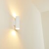 Brachy Aplique para exterior LED Blanca, 2 luces