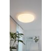 EGLO FRANIA Lámpara de Techo LED Blanca, 1 luz