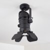 Lichinga Lámpara de Techo Negro, 1 luz