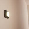 Alkmaar Aplique para exterior LED Antracita, 1 luz