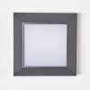 Alkmaar Aplique para exterior LED Antracita, 1 luz